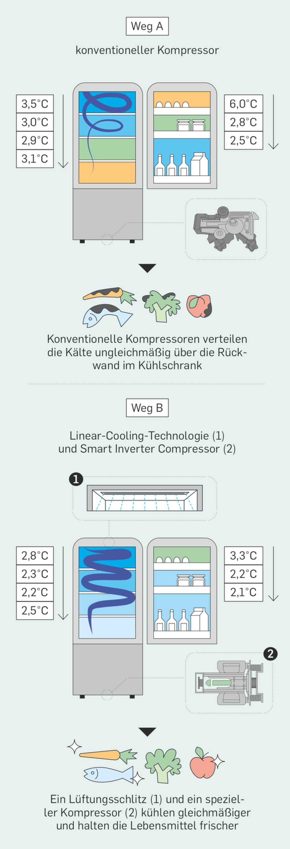 Grüne Revolution: LG baut einen Kühlschrank, der Lebensmittel länger haltbar macht