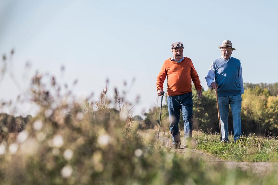 Retirement: Two seniors on the road