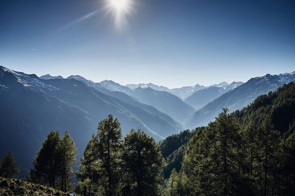 Wer in der „Goldenen Rose“ eincheckt, sollte Wanderschuhe mitbringen; schließlich lockt vor den Fenstern die majestätische Südtiroler Bergwelt