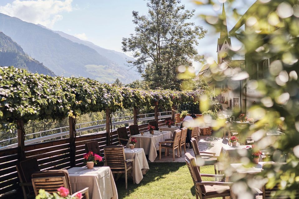 Besonders idyllisch genießt man das hervorragende gastronomische Angebot im Sommer auf der Terrasse, unter knorrigen Bäumen