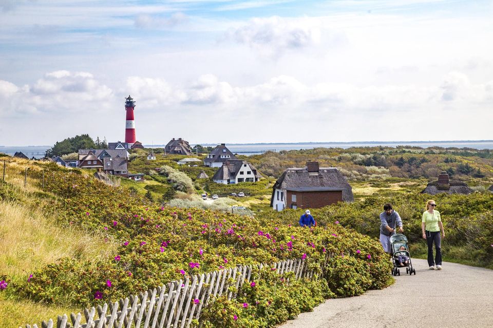 Leuchtturm und Reetdachvillen in den Dünen