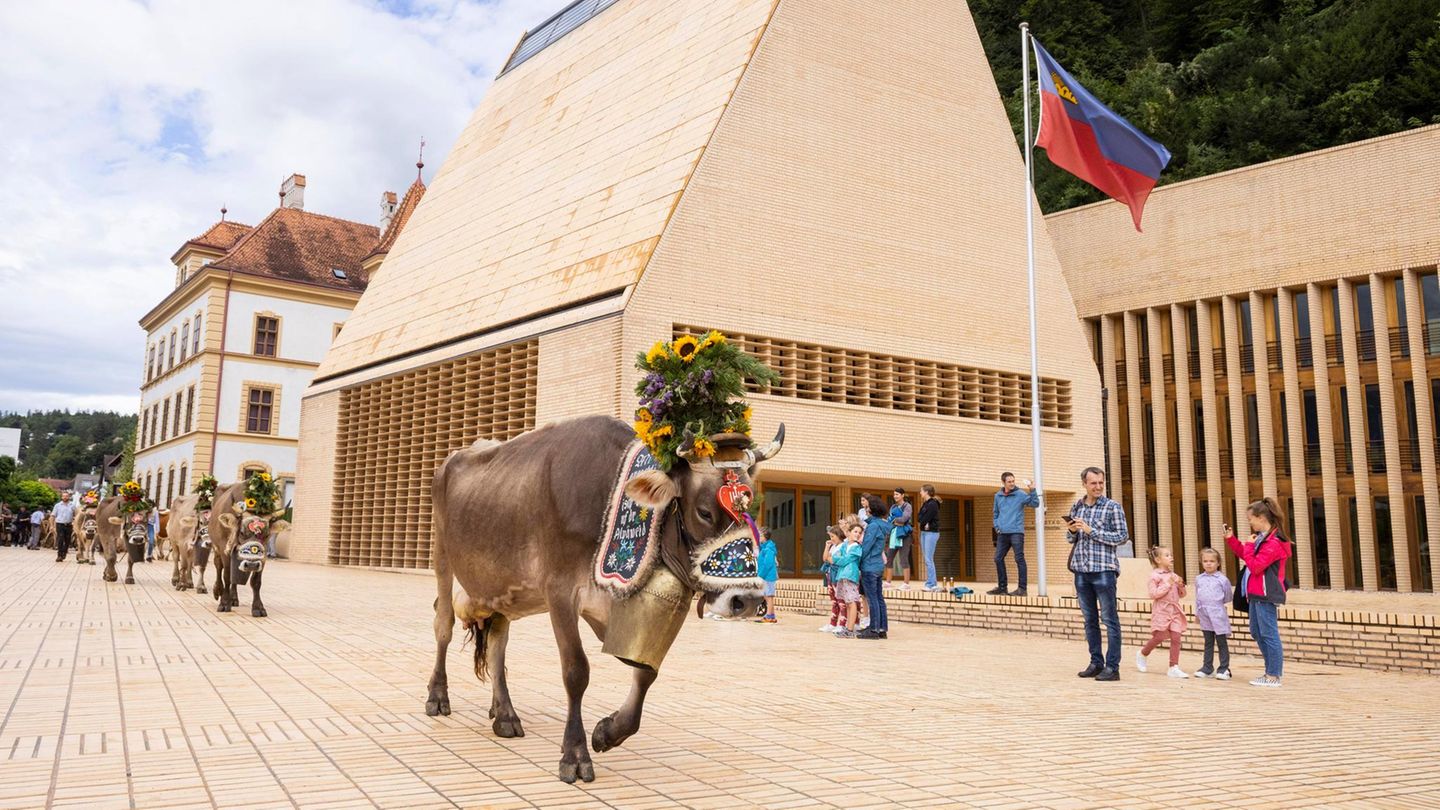 US-Sanktionen-Wie-Zombie-Trusts-eine-Krise-in-Liechtenstein-ausgel-st-haben-Capital-