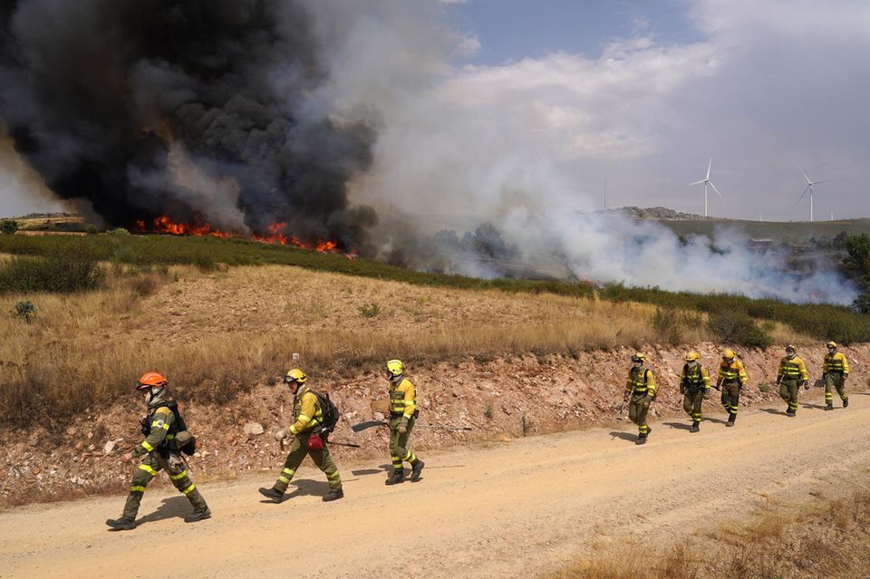 Firefighters fight a forest fire