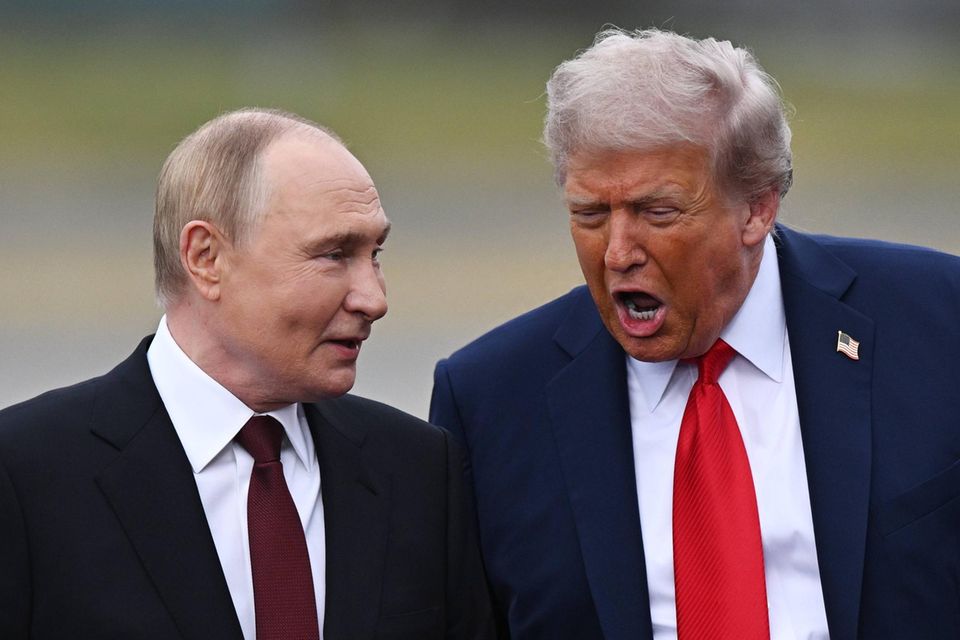 Zwei Machthaber unter sich: Vladimir Putin und Donald Trump teilen sich nicht nur ein geschichtliches Interesse an Diktatoren 