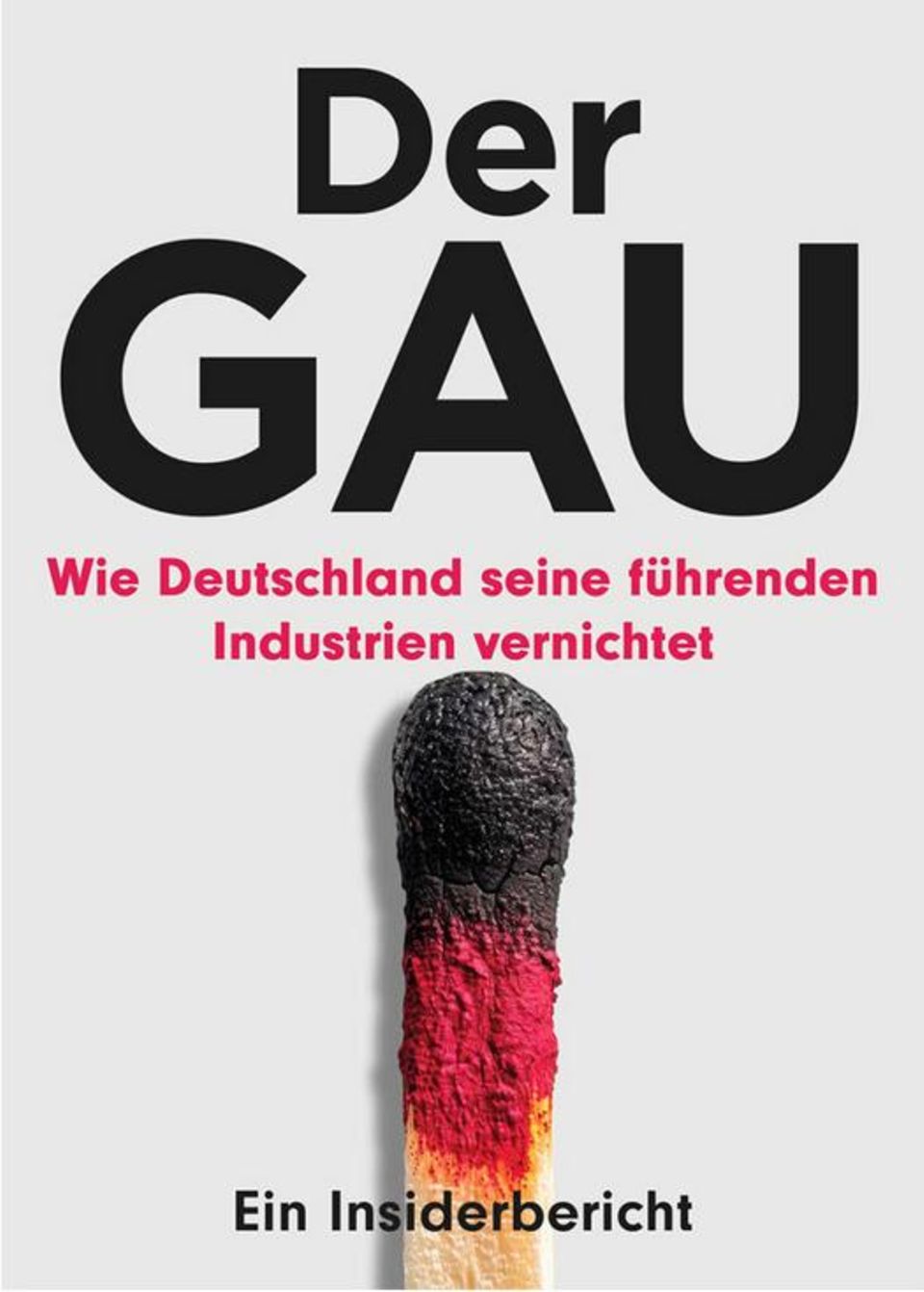 Kai Lucks: „Der GAU: Wie Deutschland seine führenden Industrien vernichtet“ ist im Multimedia Industrieverlag erschienen