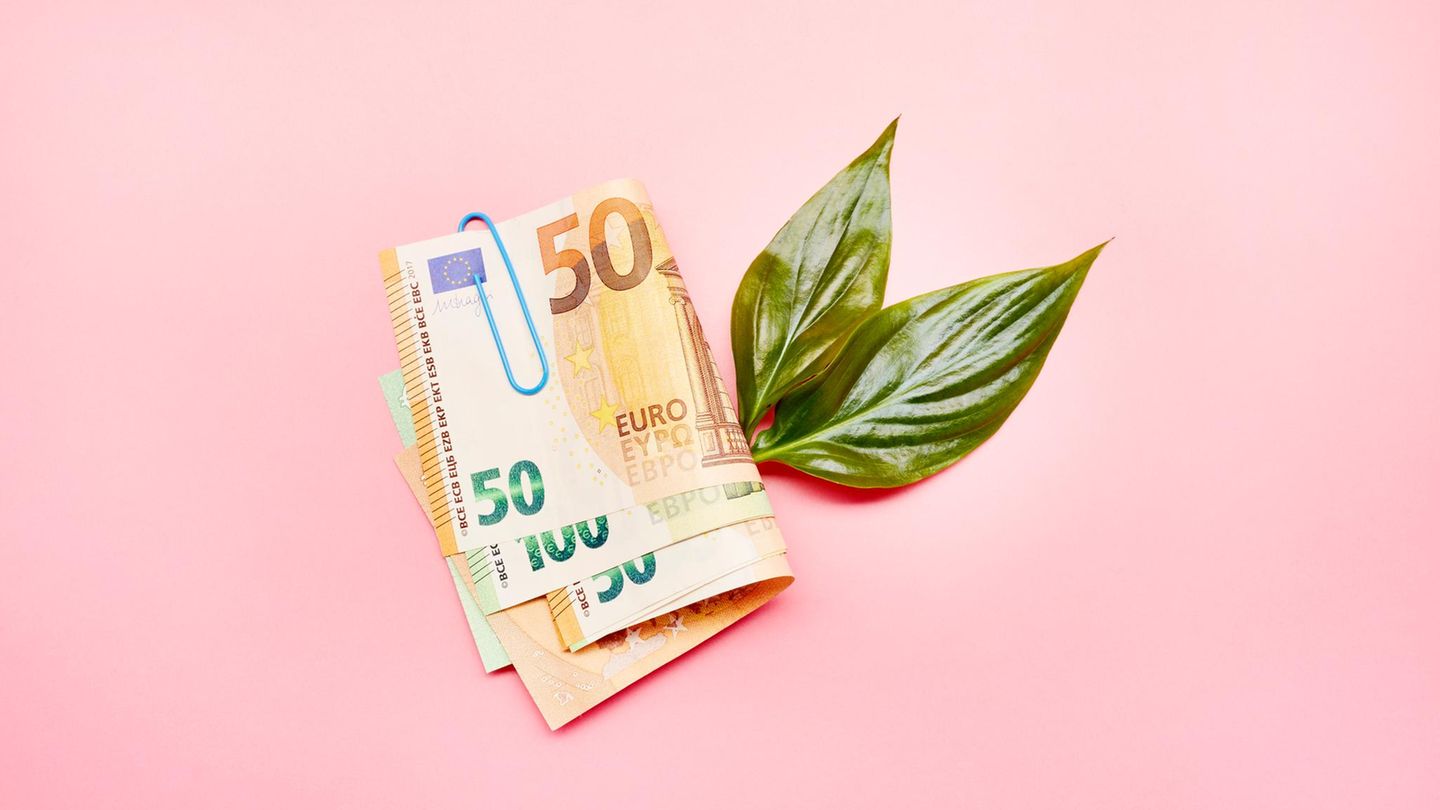 Gr-ne-Revolution-So-kann-Bargeld-nachhaltiger-produziert-werden