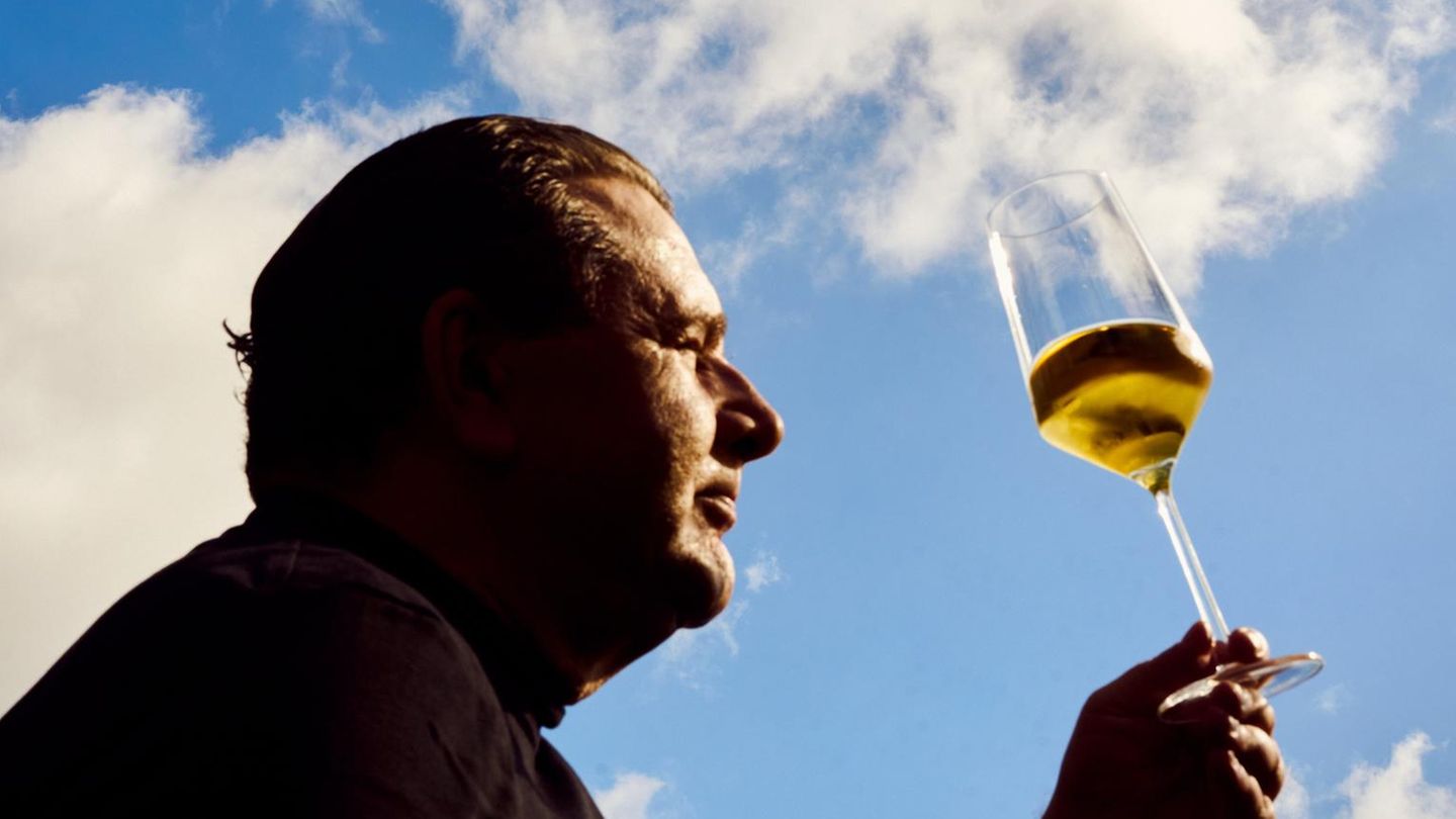 Erbe-Weinsammlung-geerbt-Welchen-Wein-sollte-ich-verkaufen-Capital-