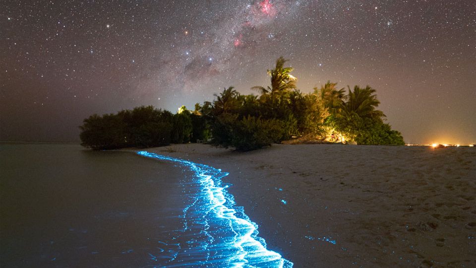 Über dem Biolumineszenz-Schimmer am Strand des „Soneva Jani“ erstrahlt der Sternenhimmel