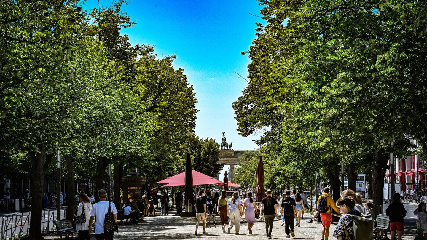 Hauptstadt-Warum-Berlin-mal-wieder-auf-dem-Holzweg-ist