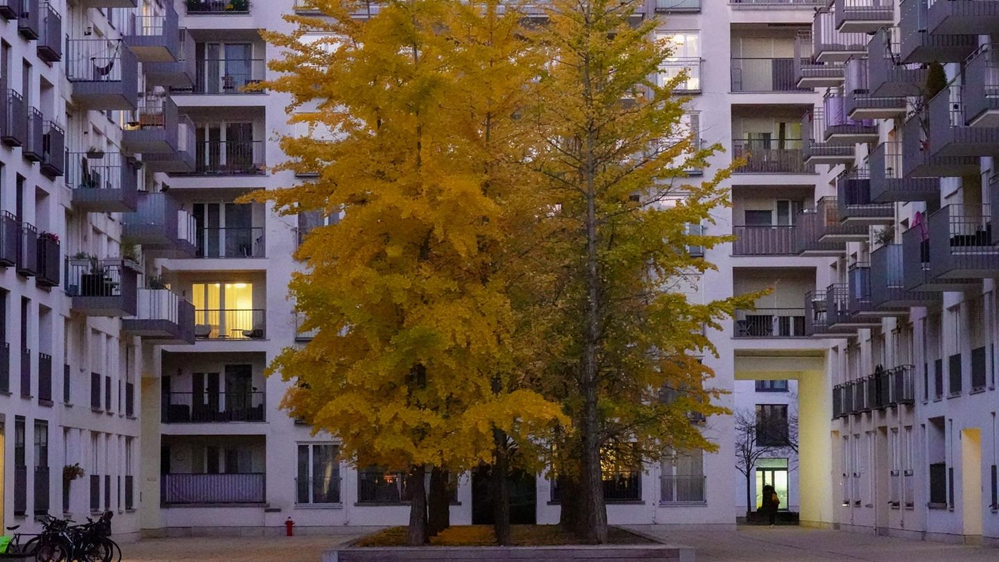 Nadine-Oberhuber-So-kann-man-sich-Immobilien-noch-leisten-Capital-