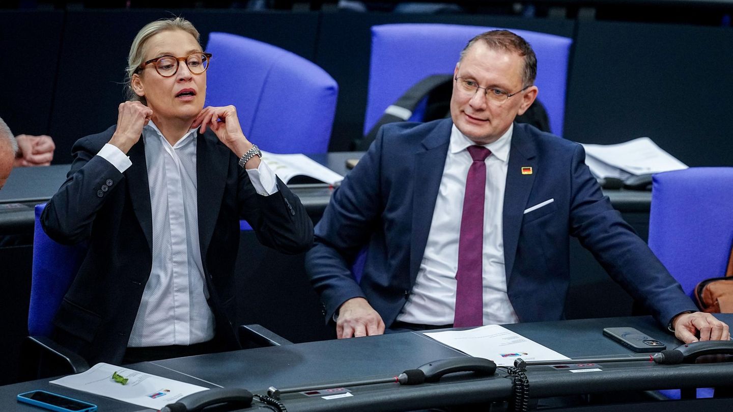 Politik-Familienunternehmer-und-die-AfD-Flirt-oder-echte-Liebe-Capital-