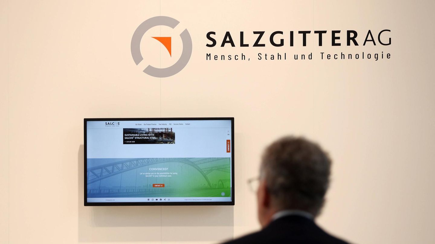 Bernd-Ziesemer-Gr-ne-Industrien-unter-Druck