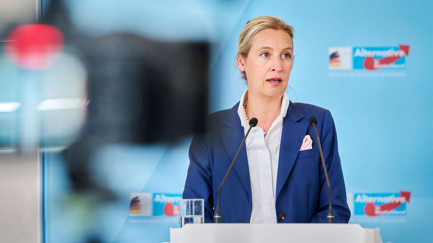 Kolumne-Mit-Alice-Weidel-reden-Ja-aber-nicht-zum-Kaffeekr-nzchen