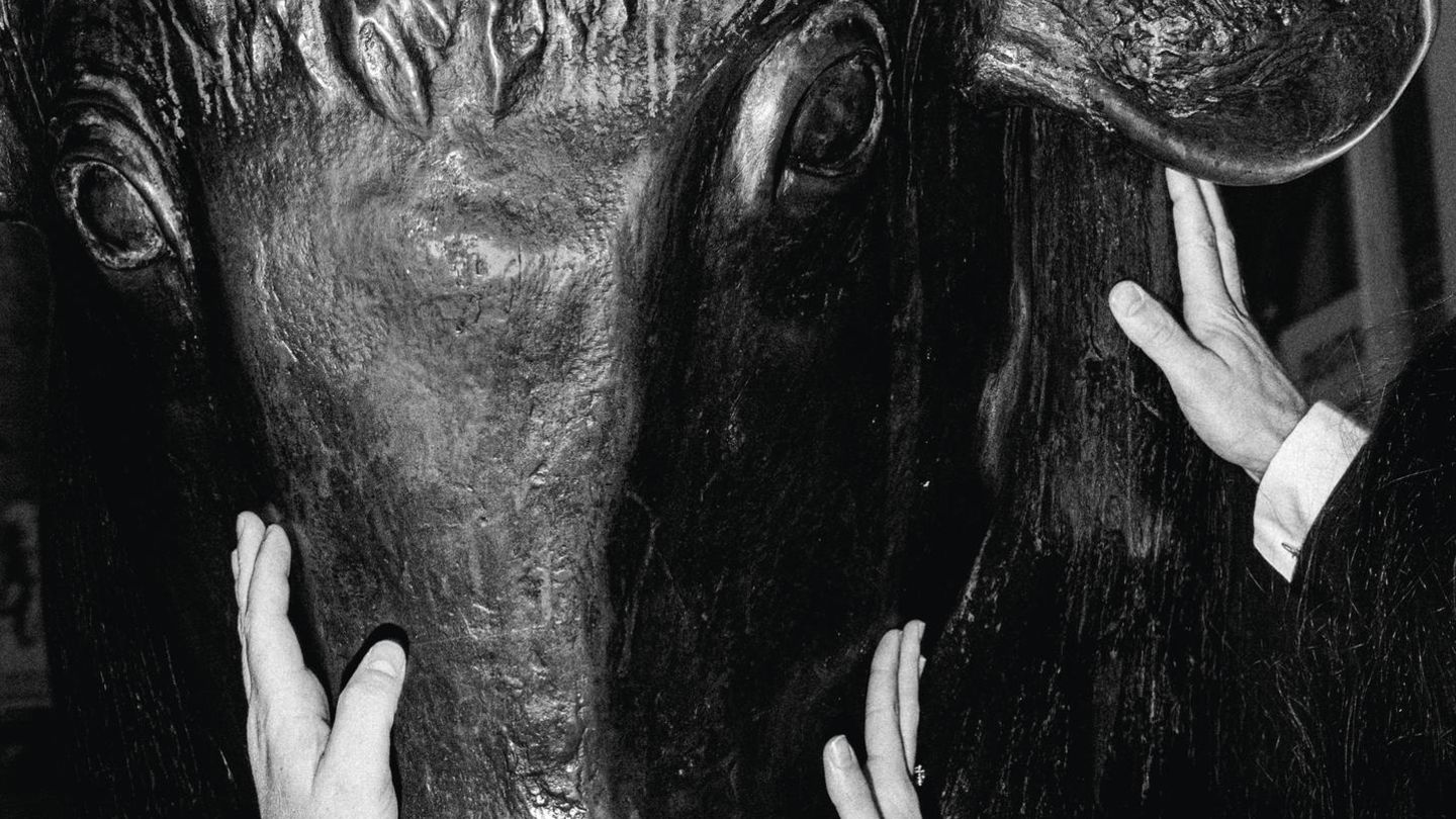 Erwartungen-f-r-2026-Dax-Gold-Euro-Die-Prognosen-der-Profis-Capital-