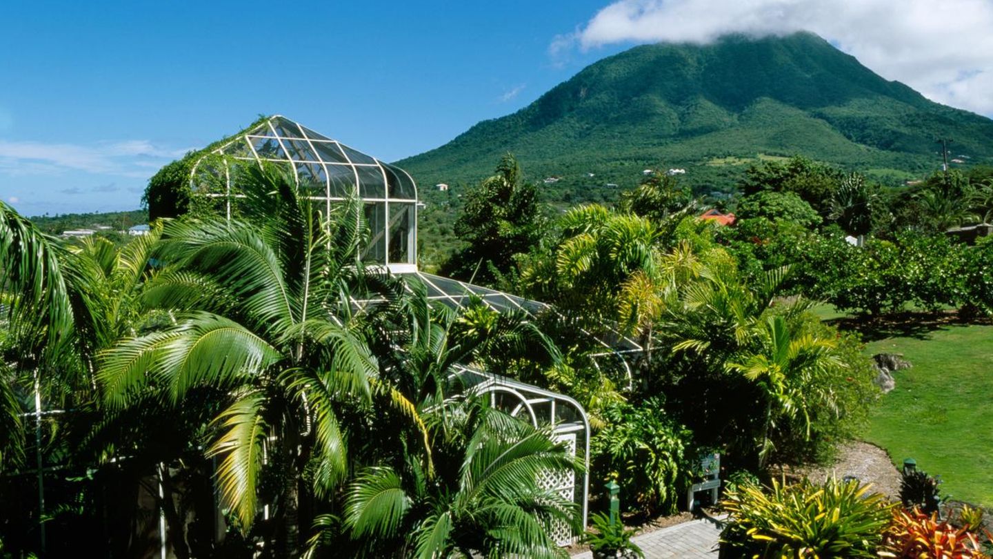 Karibik-Der-irre-Insel-Plan-dieses-Bitcoin-Investors-Capital-