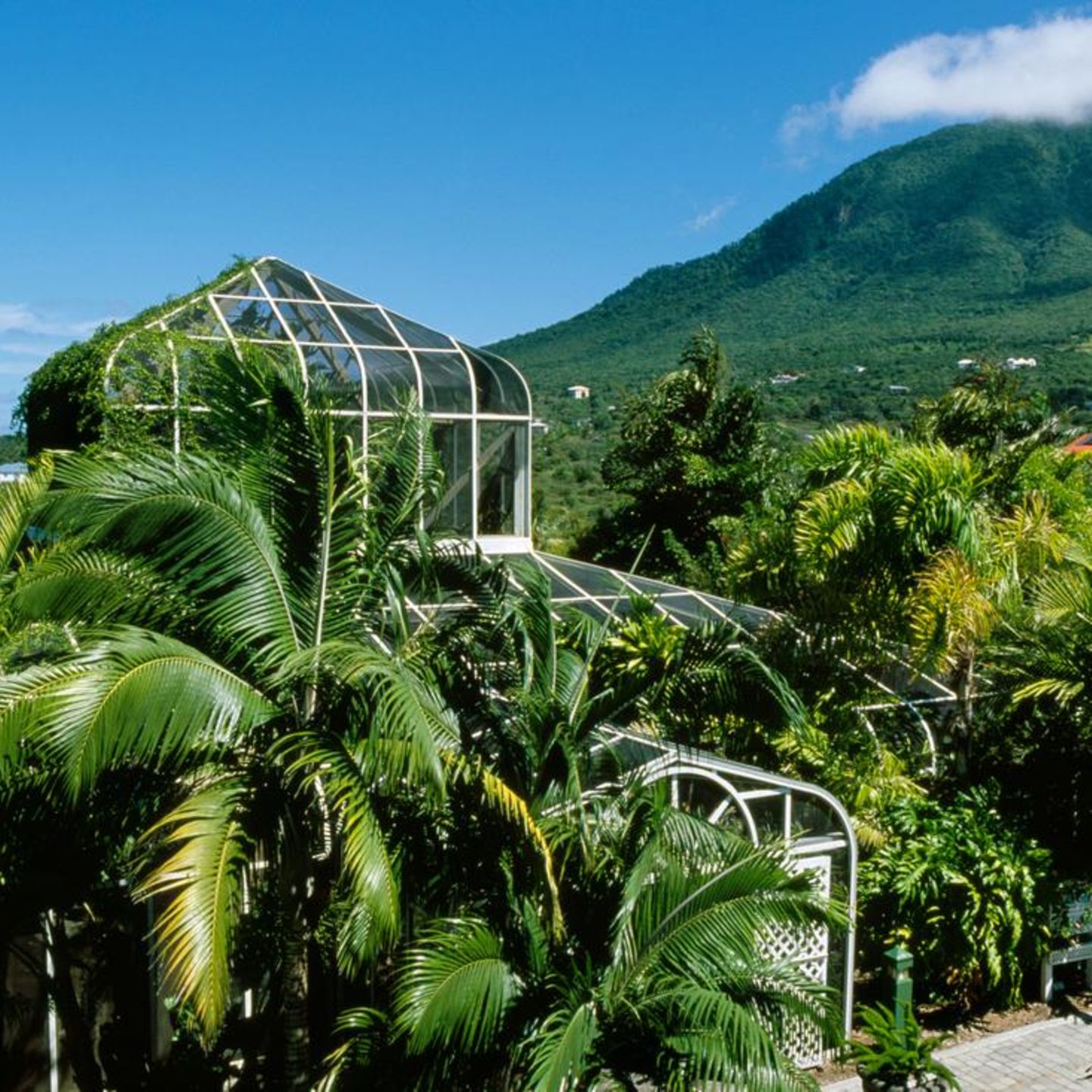 Bitcoin-Jünger plant eigenes Krypto-Paradies in der Karibik - Capital.de