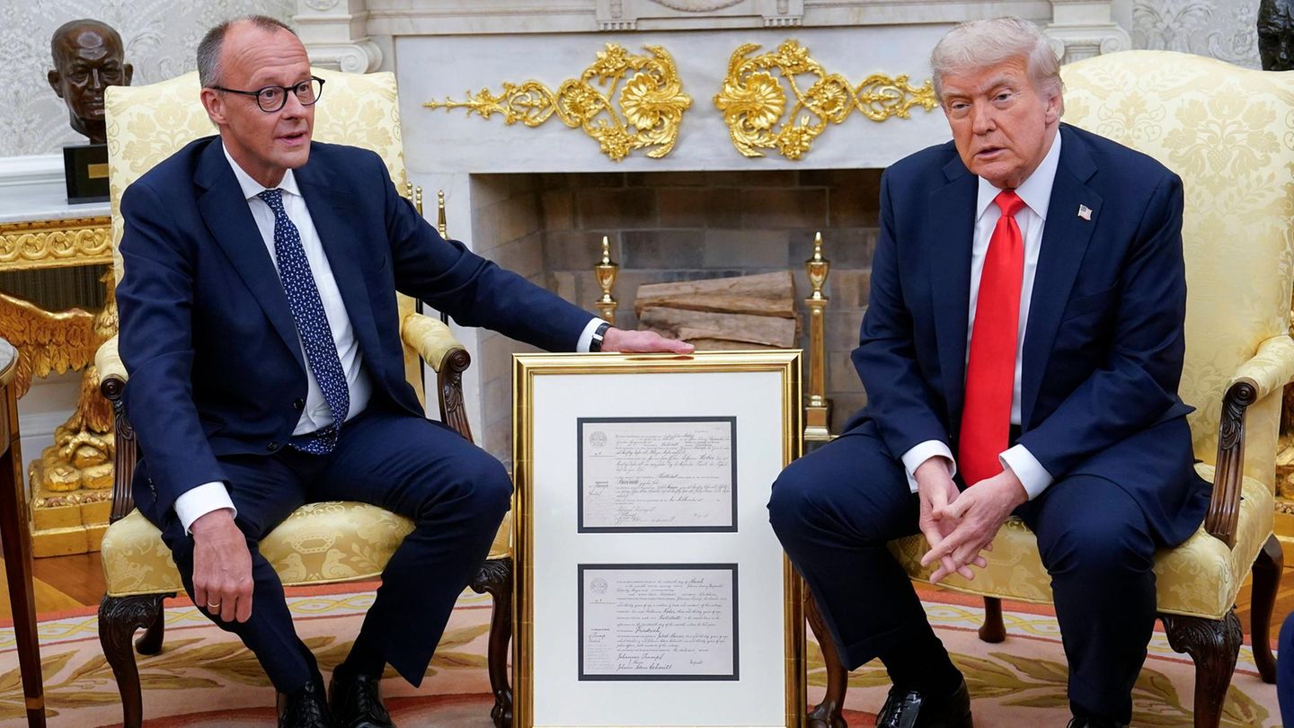 Friedrich-Merz-und-die-USA-Wie-Donald-Trump-die-Union-spaltet-Capital-