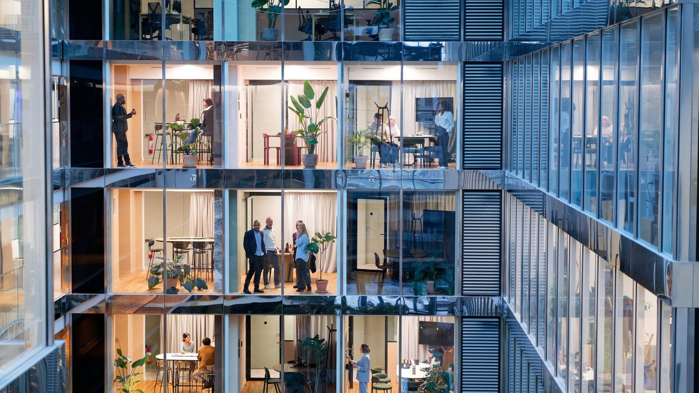 Karrierechancen-Die-allgemeine-Untergangsstimmung-teile-ich-nicht-Capital-