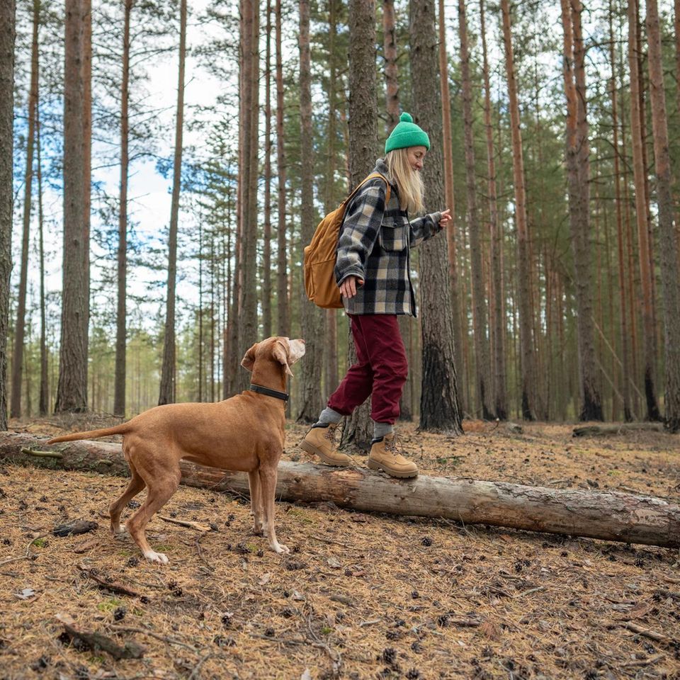 Frau mit Hund im Wald