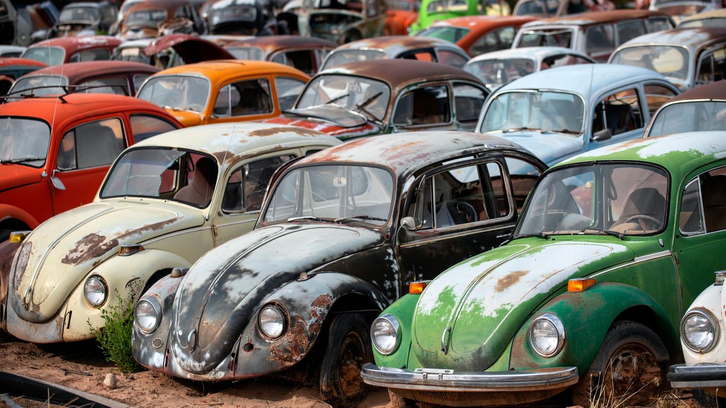 Rekord-bei-Insolvenzen-Deutschland-hat-sich-zu-lange-gegen-die-Deindustrialisierung-gestemmt-Capital-