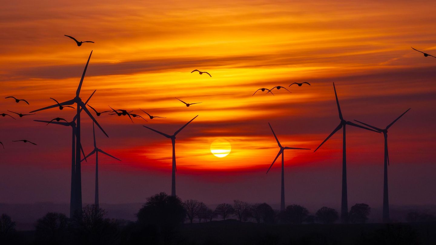 -Gr-nes-Kraftwerk-Nordsee-Kann-sich-Europa-aus-seiner-fossilen-Abh-ngigkeit-herauswinden-Capital-