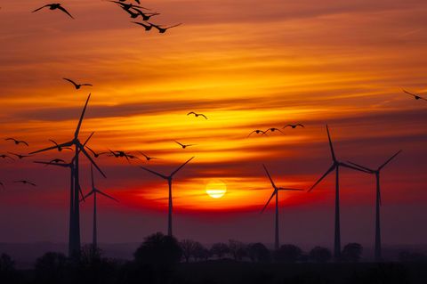 Rettung oder Schandfleck? Windräder sind wohl die umstrittenste alternative Energiequelle