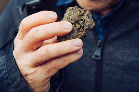Heinrich Gretzmeier mit einem Trüffel-Pilz