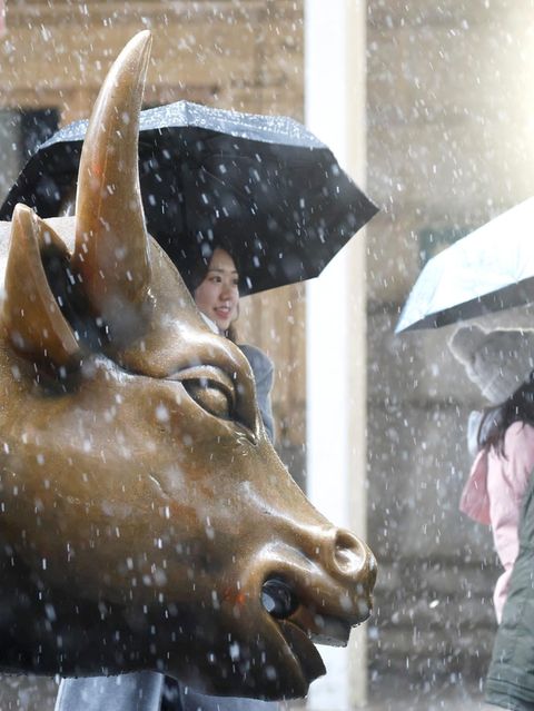 Bulle nahe der Wall Street