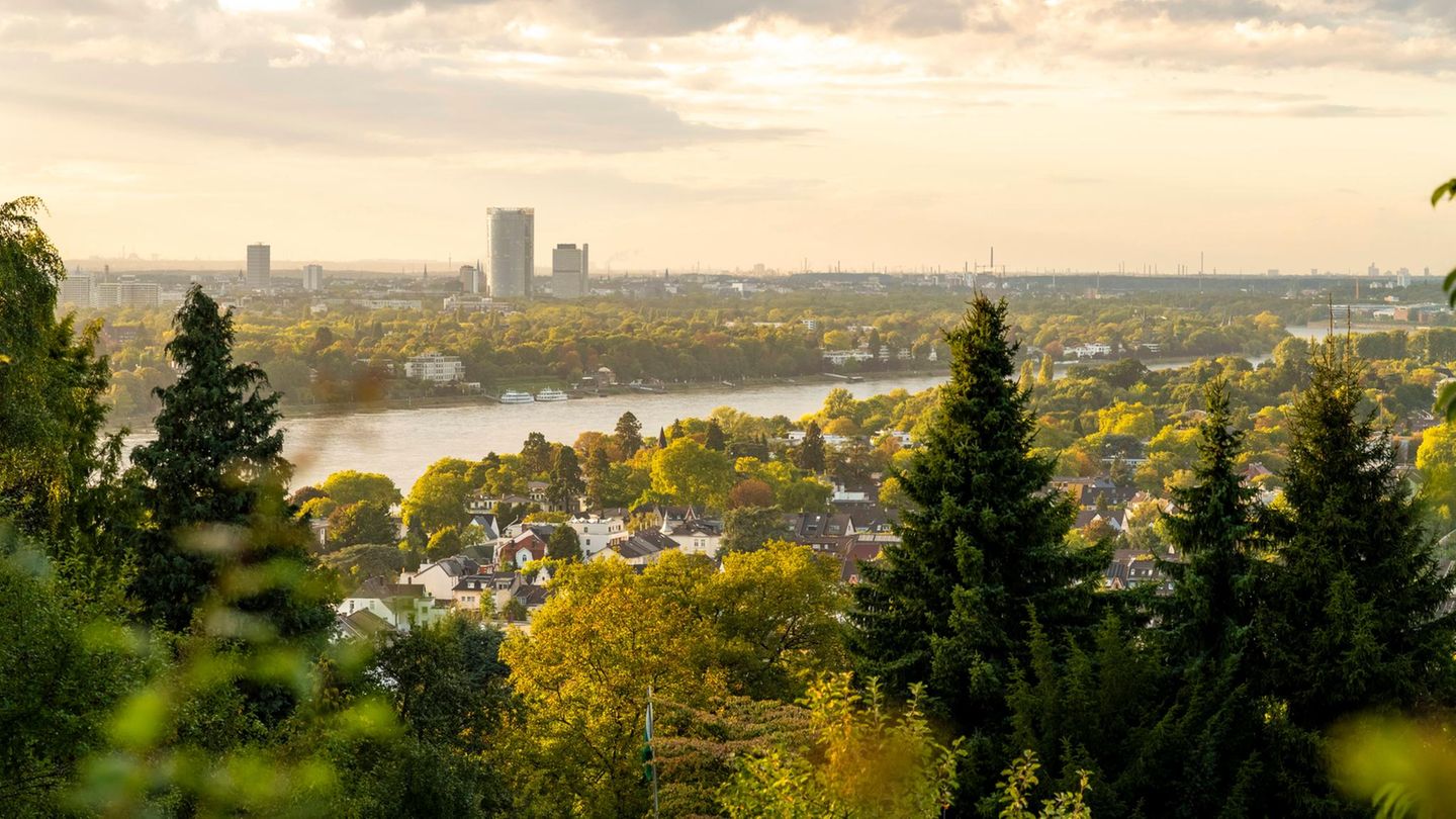 Immobilien-Kompass: Region Köln – Hier gibt es noch Angebote für Immobilienkäufer | Capital+
