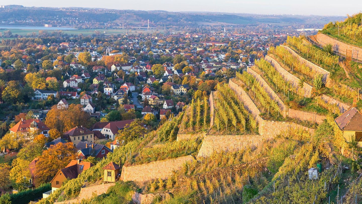 Immobilien-Kompass: Chip-Boom in Dresden treibt Immobilienpreise im Umland nach oben | Capital+