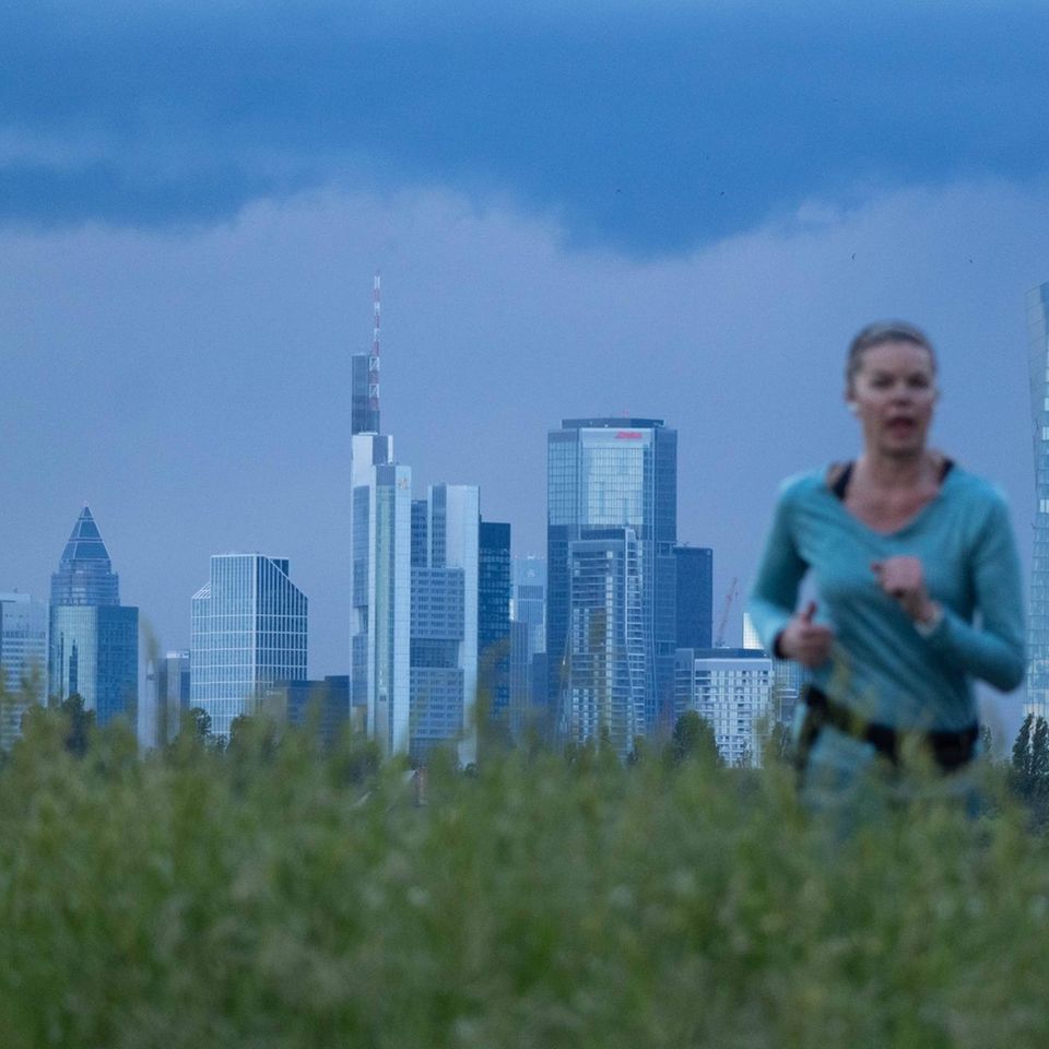 Frankfurter Skyline