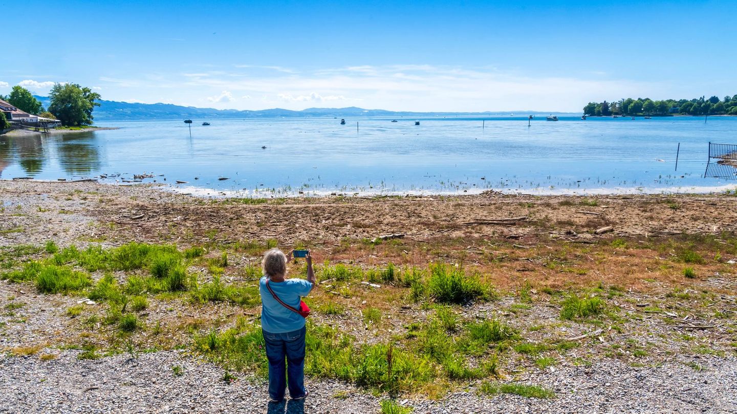 Crashkurs-Vier-B-cher-ber-den-Klimawandel-und-wie-es-sich-mit-ihm-leben-l-sst