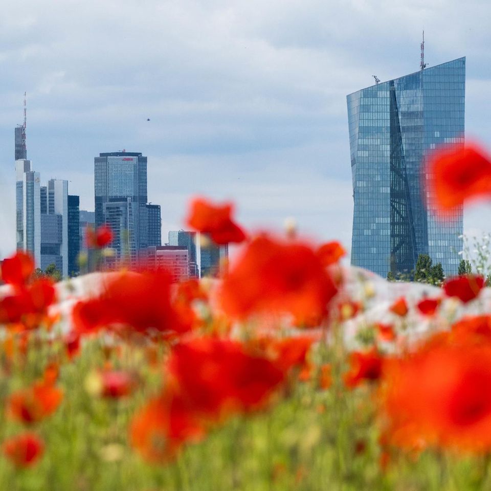 EZB in Frankfurt