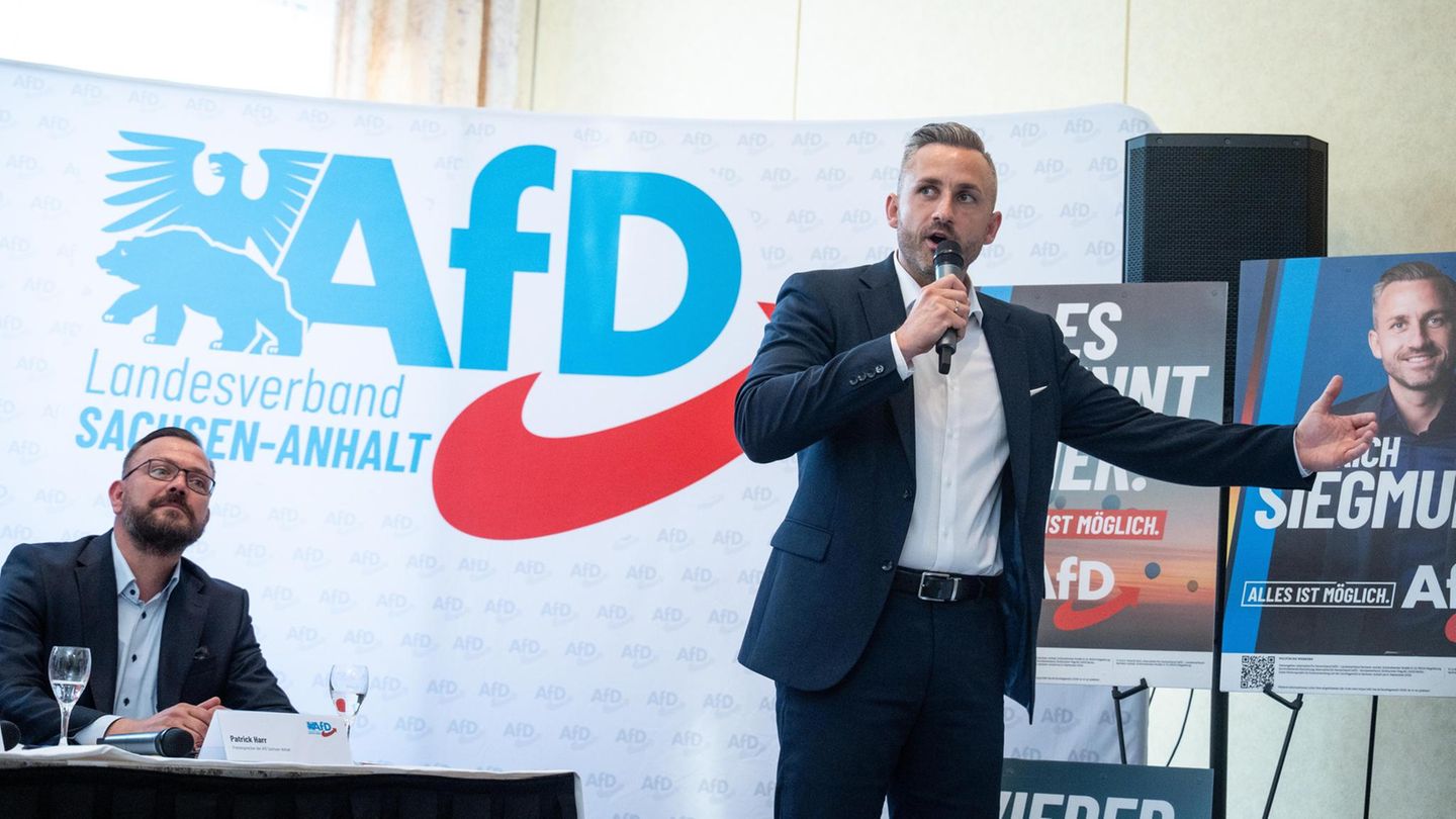 Kapitalmarktexperte:  „Die AfD gefährdet den Wirtschaftsstandort Deutschland“