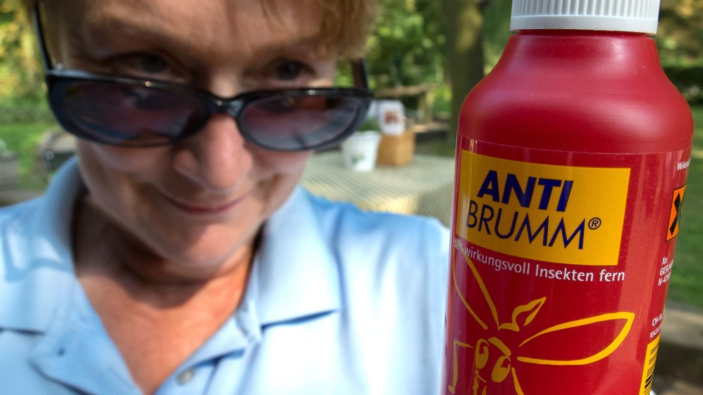 Insektenschutz: Anti Brumm: Wer hat's erfunden?