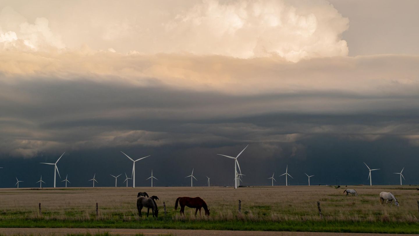 Trotz Trump: „Rekordjahr“ für erneuerbare Energien in den USA