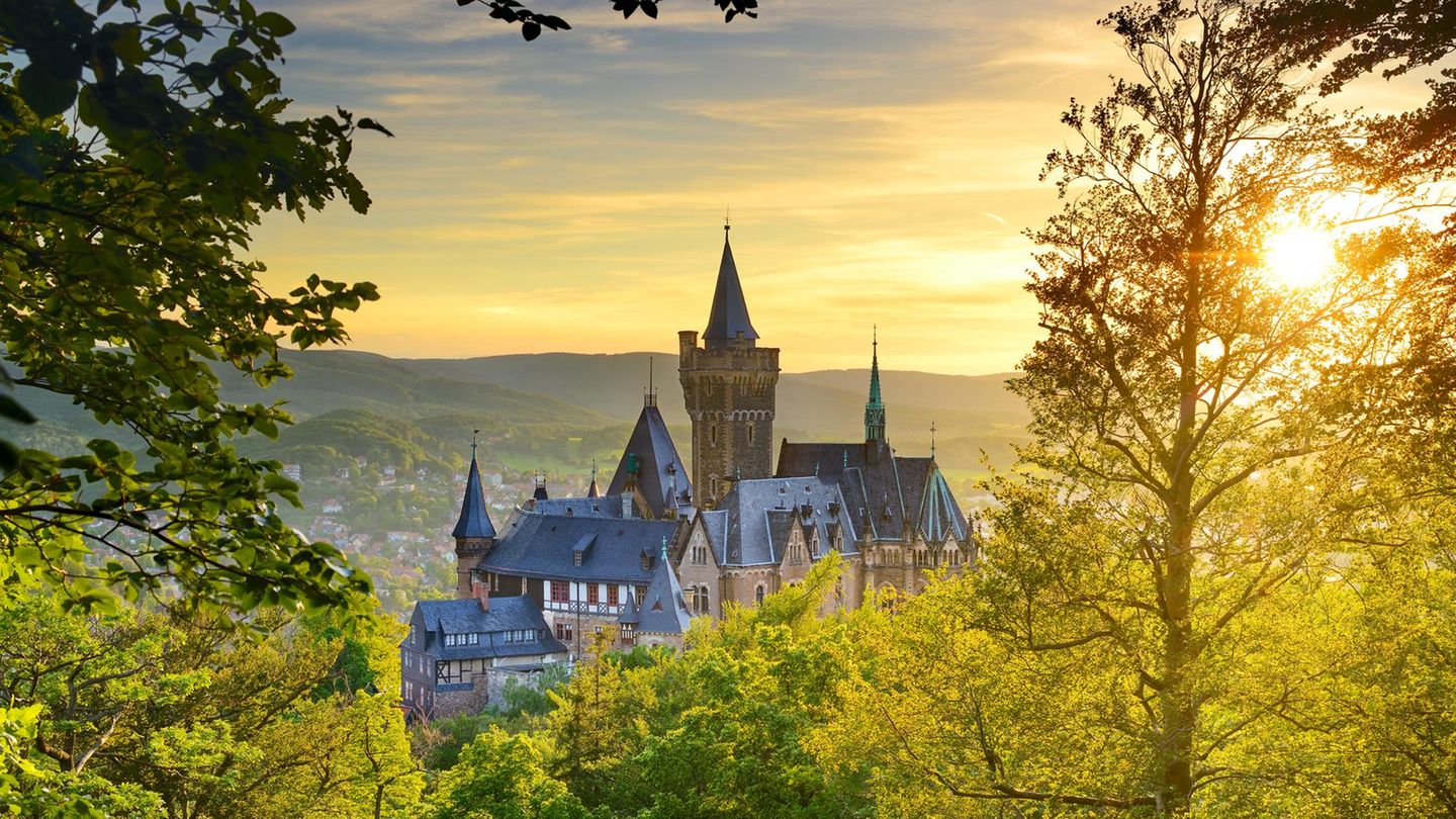 Sachsen-Anhalt: Tourismusverband: Völkische Gäste sind kein Riesenmarkt | Capital+