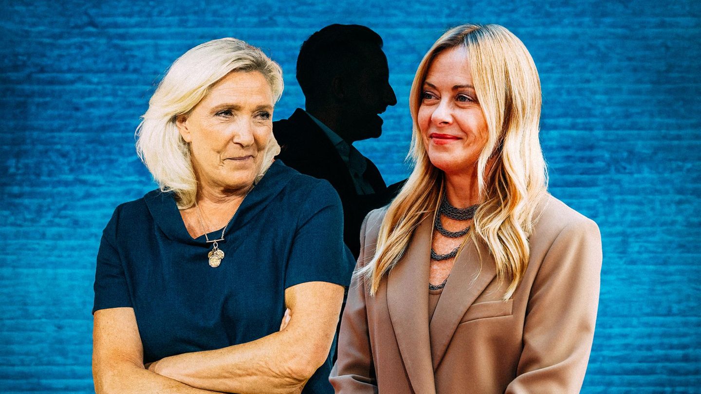 Rechter Kulturkampf: Warum auch Meloni und Le Pen über die AfD jubeln – aber nur heimlich | Capital+