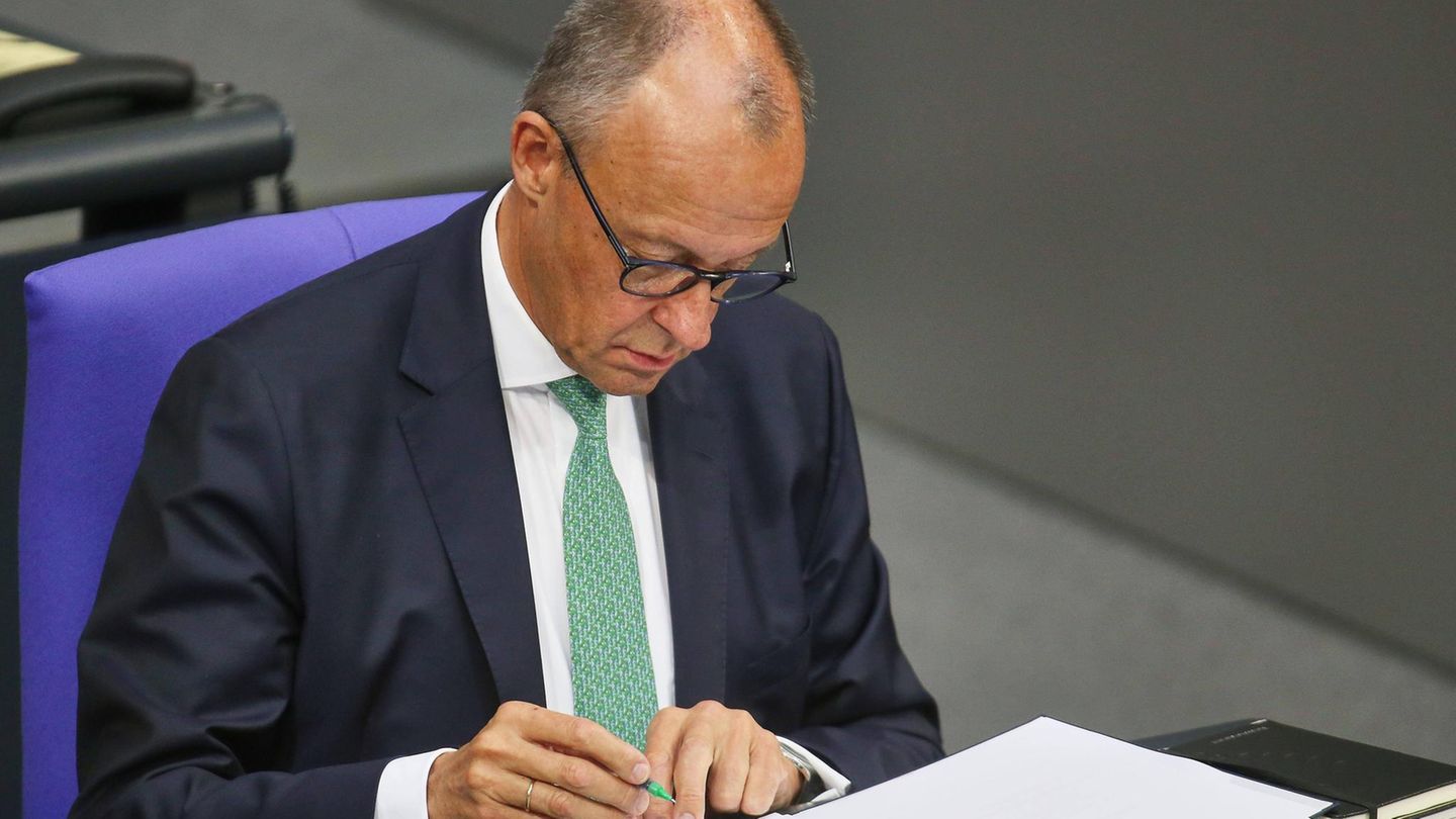 Friedrich Merz: Dieses Buch verrät, wohin der Kanzler Deutschland steuern will