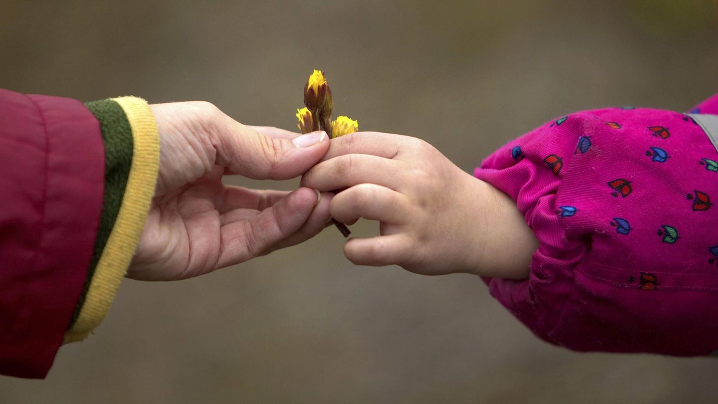 Erbschaftsteuer: Schenken zu Lebzeiten: Wann es sich lohnt und wann nicht | Capital+
