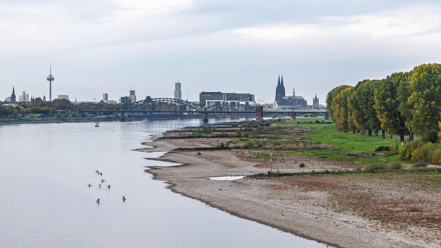 Konjunktur: Hat die Industrie das Niedrigwasser einfach weggesteckt?