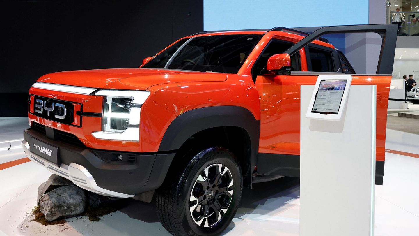 Chinesischer Autokonzern: BYD-Chefin prophezeit: Die Welle bei Hybridautos flaut bald wieder ab | Capital+