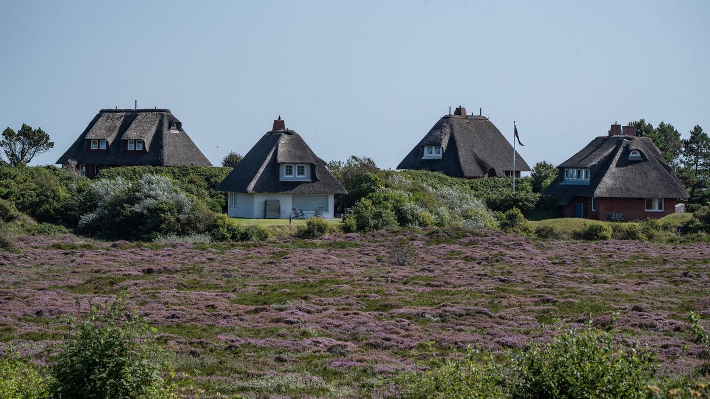 Immobilienmarkt: Sinkende Preise, mehr Häuser auf dem Markt: Was ist los auf Sylt? | Capital+