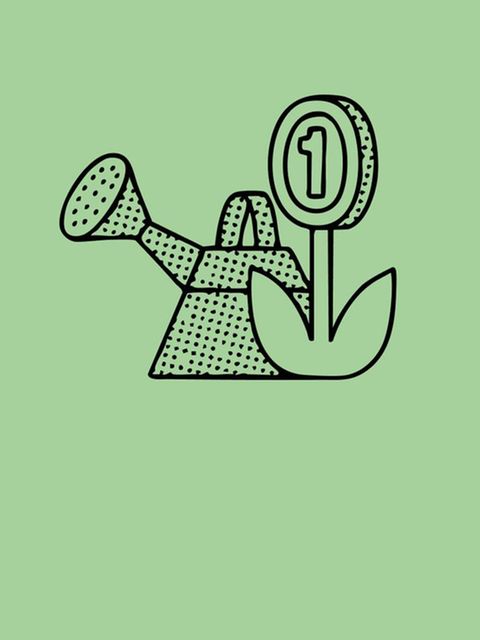 Anlegen für Anfänger