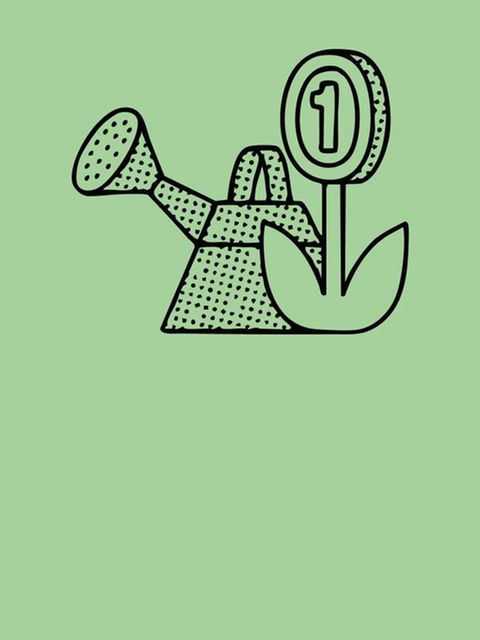 Anlegen für Anfänger