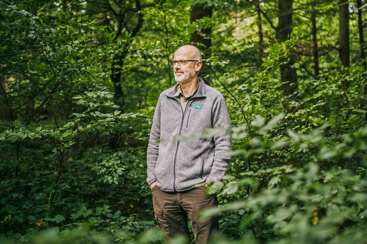 Peter Wohlleben